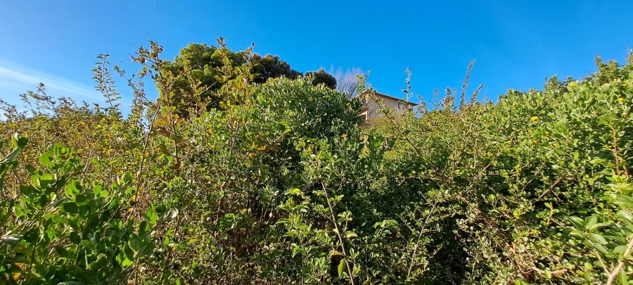 0 Bedroom Property for Sale in Upper Robberg Western Cape